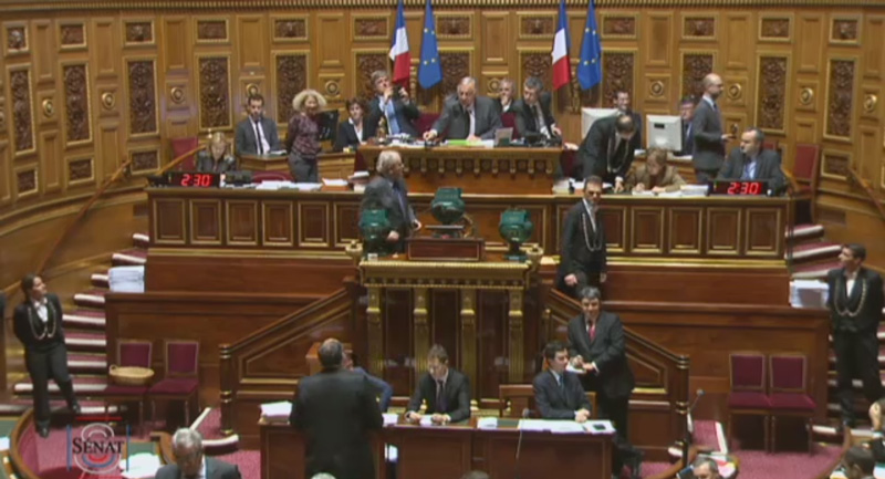 senat-800