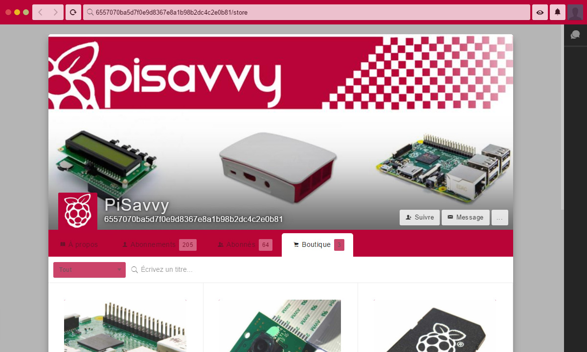 Un vendeur spécialisé dans le Raspberry Pi.