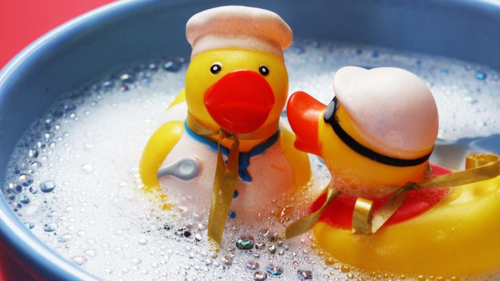 canard
