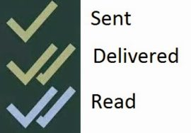 whatsapp-main
