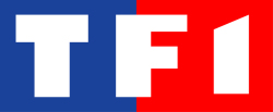TF1 réclame 100 millions d&rsquo;euros à YouTube en justice