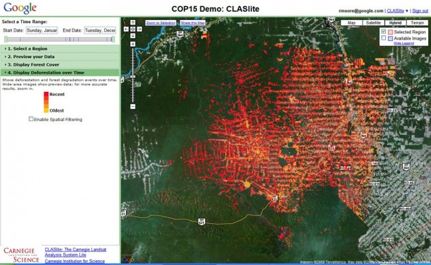 Google veut lutter contre la déforestation avec l&rsquo;informatique dans les nuages