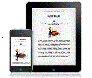 Kindle Singles : Amazon veut faire une place aux nouvelles et histoires courtes