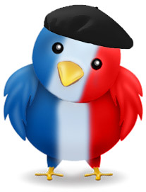 Les Français sont assez peu attirés par Twitter