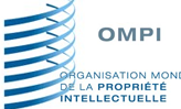 L&rsquo;OMPI relance un projet contesté de traité sur les radiodiffuseurs