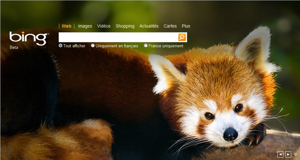Mozilla propose une version spéciale de Firefox avec Bing