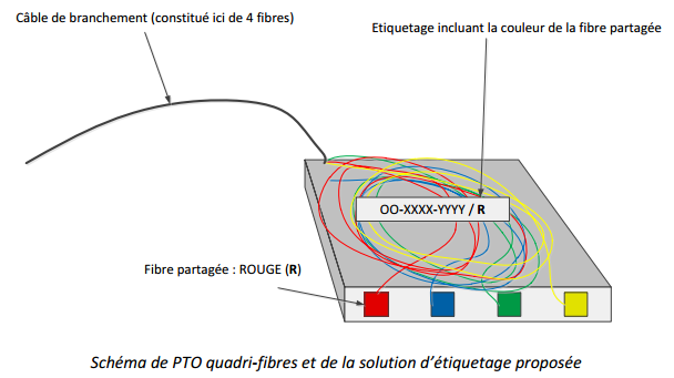 Prise fibre : comment les reconnaître et trouver la référence ?