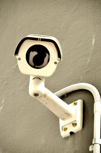 L&rsquo;UMP veut utiliser les caméras pour surveiller les ordures
