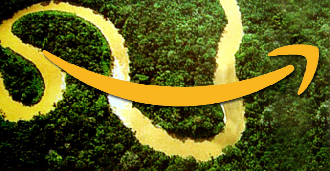 Amazon n&rsquo;obtient pas de noms de domaines en .Amazon