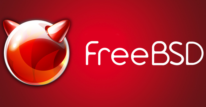 FreeBSD a sa faille Heartbleed. Et beaucoup de systèmes utilisent FreeBSD.