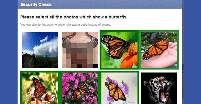 Quand le CAPTCHA de Facebook montre un drôle de &#34;papillon&#34;