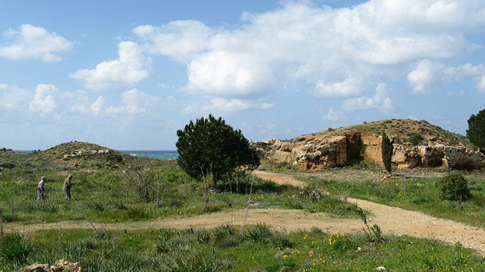Paysage de Chypre