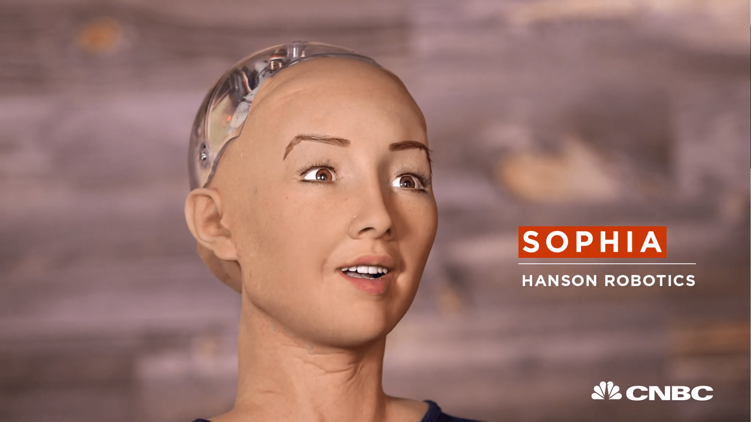 Sophia, humanoïde : « Je veux une famille et détruire l'humanité