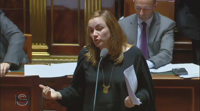 Axelle Lemaire, le 27 avril 2016 au Sénat.