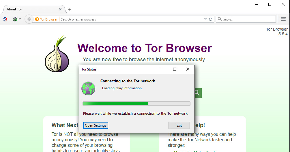 tor browser idm попасть на гидру