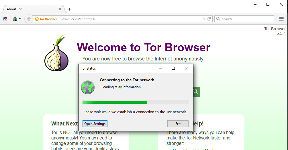 Tor browser with flash plugin mega installing tor browser on kali linux мега