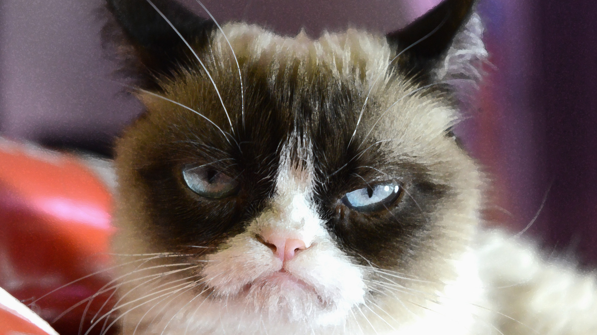 #CopyrightMadness : Steam, Marvin Gaye, Grumpy Cat... - Politique