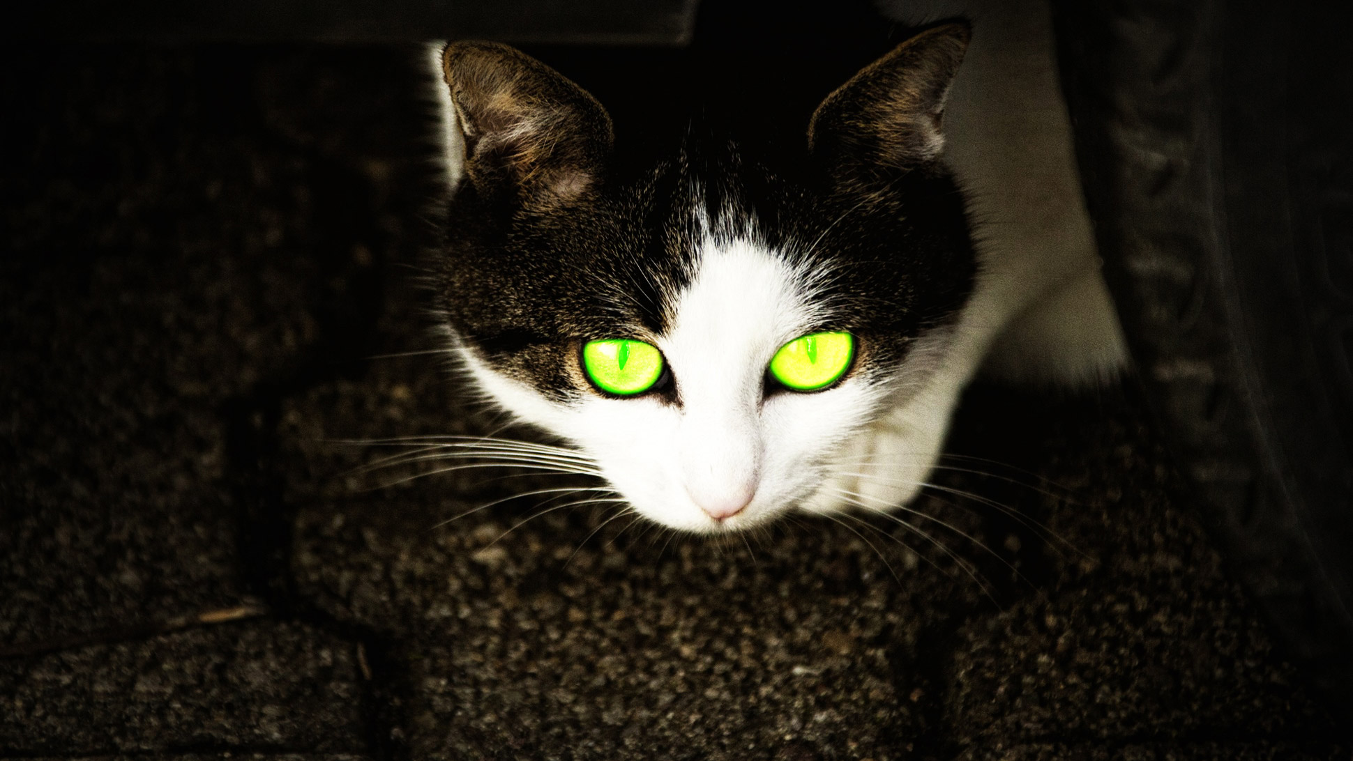 Sites de chat datant sans inscription