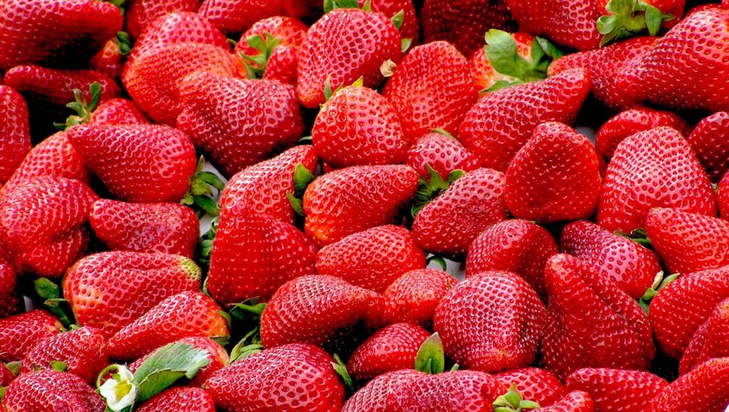 fruit-fraise