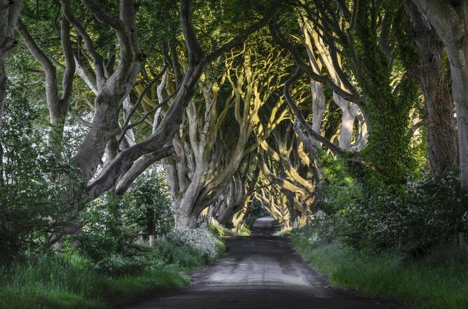 game-of-thrones-and-giant-s-causeway-full-day-tour-from-belfast-in-belfast-142138