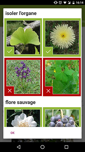 TÉLÉCHARGER PLANTNET POUR IPHONE IPHONE POUR TÉLÉCHARGER PLANTNET