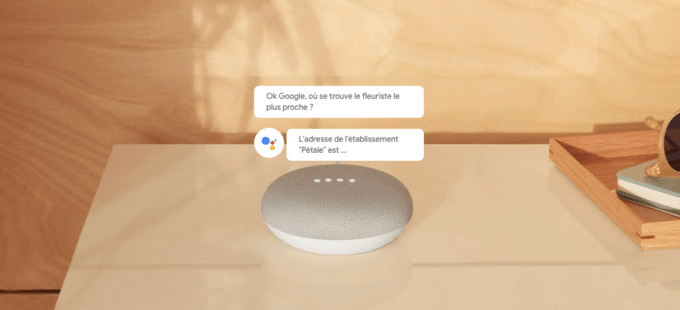 google-home-mini-bug