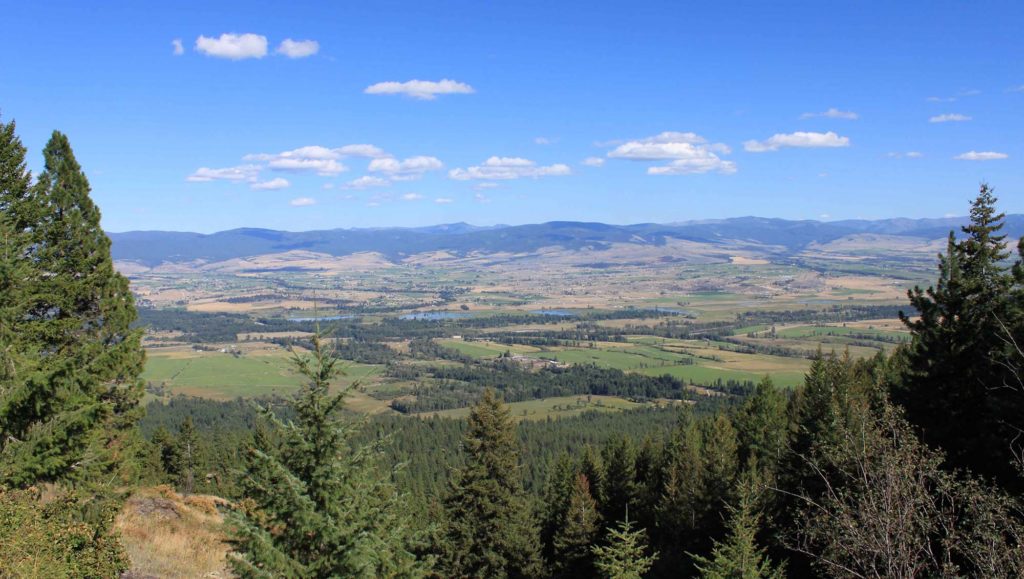 montana-campagne-nature-foret-montagne