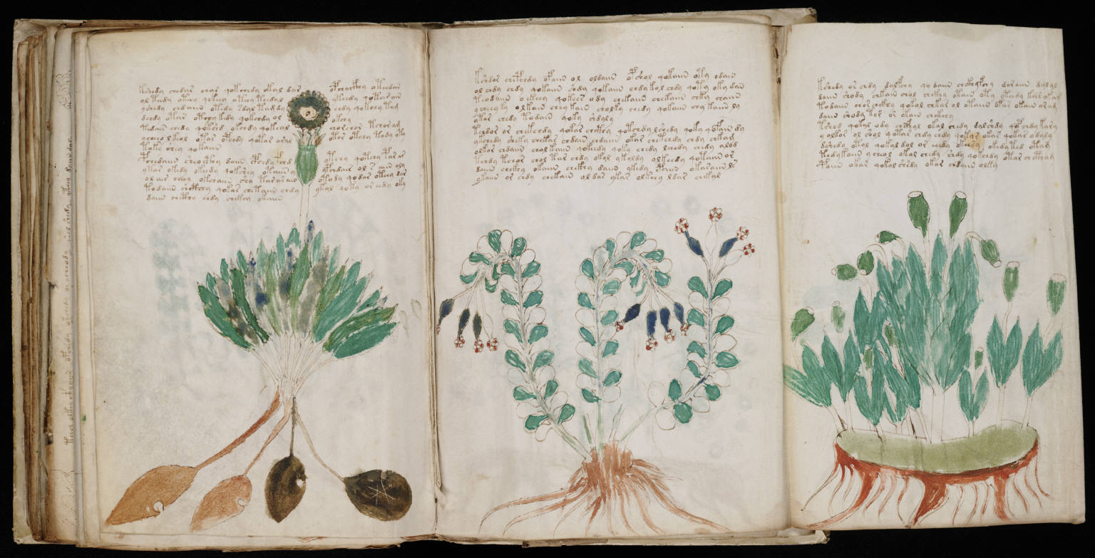 manuscrit de voynich