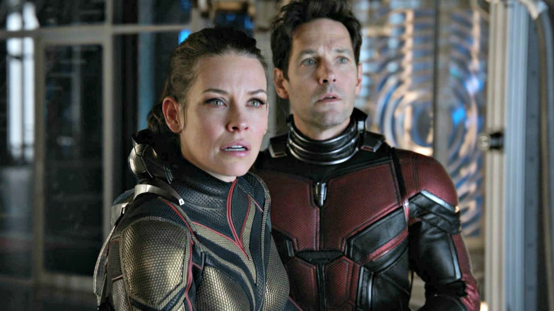 Ant Man Et La Guepe Streamcomplet Ant-Man et la Guêpe : un blockbuster humble et rafraîchissant