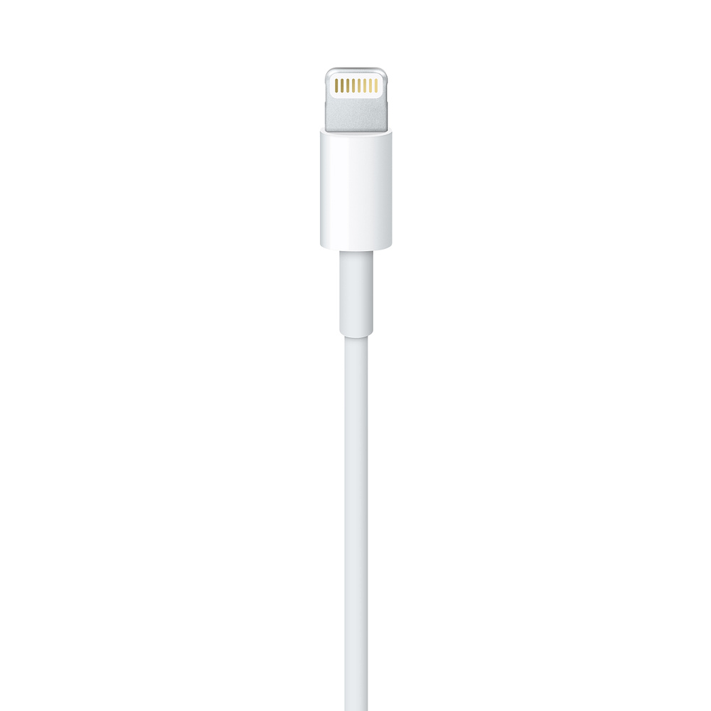 Câble Lightning : quel câble pour chargeur iPhone ou iPad choisir ? -  Numerama