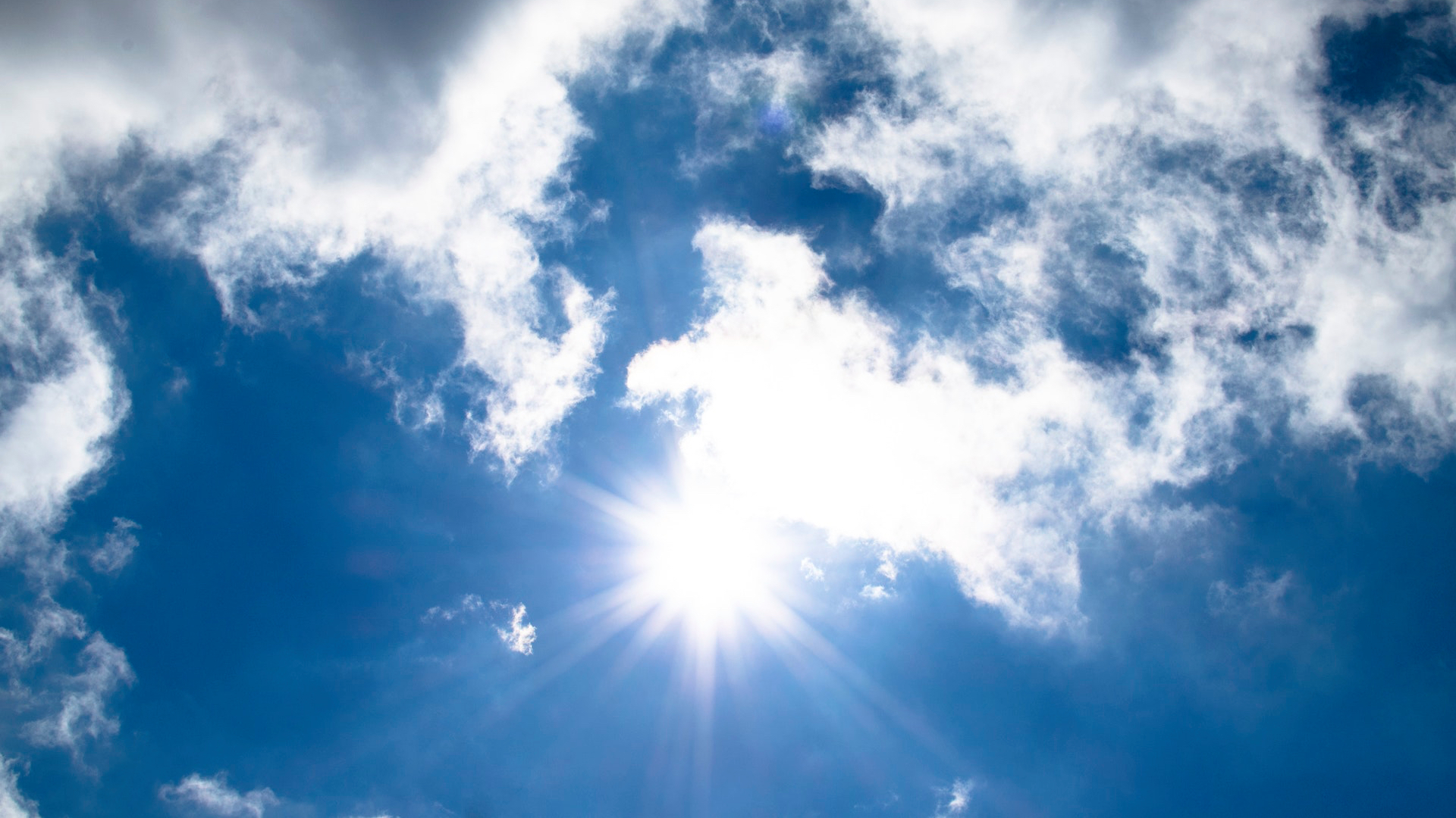 Canicule Pourquoi La Chaleur Peut Elle Tuer