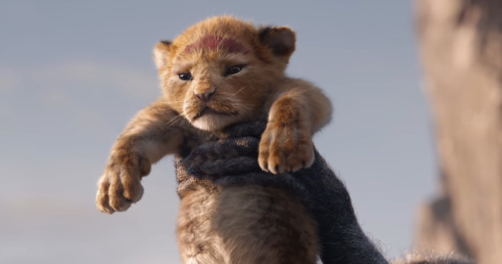 Simba Roi Lion