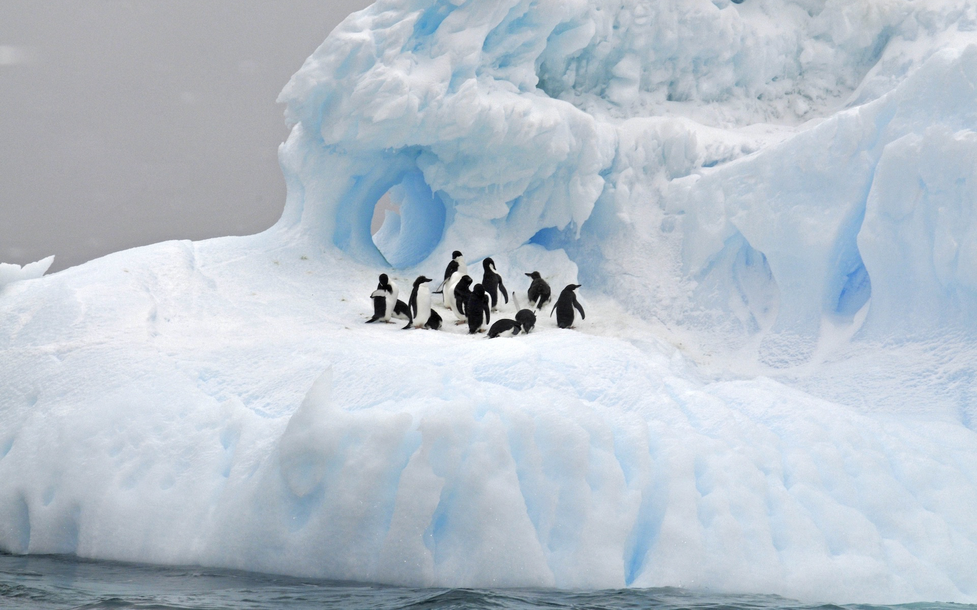 antarctique