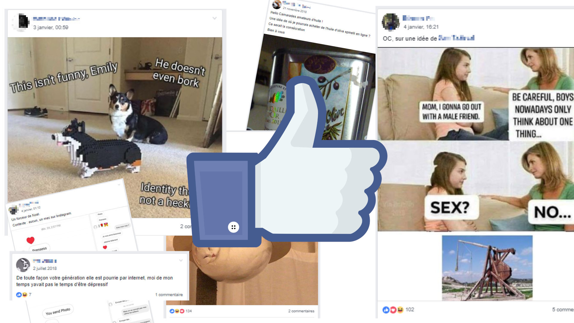 Facebook Est Il Devenu Drole Bienvenue Chez Les Neurchis Ces