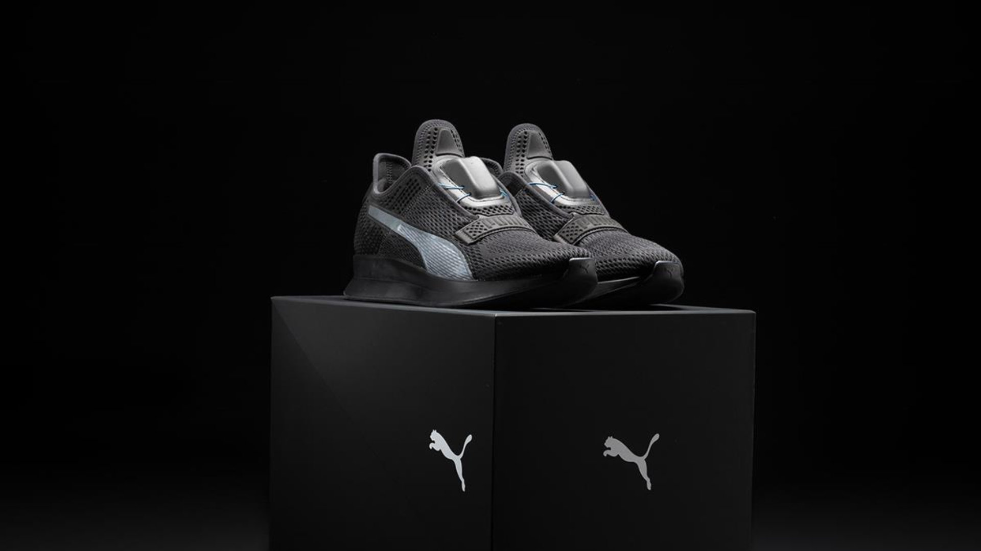 tous les modeles puma