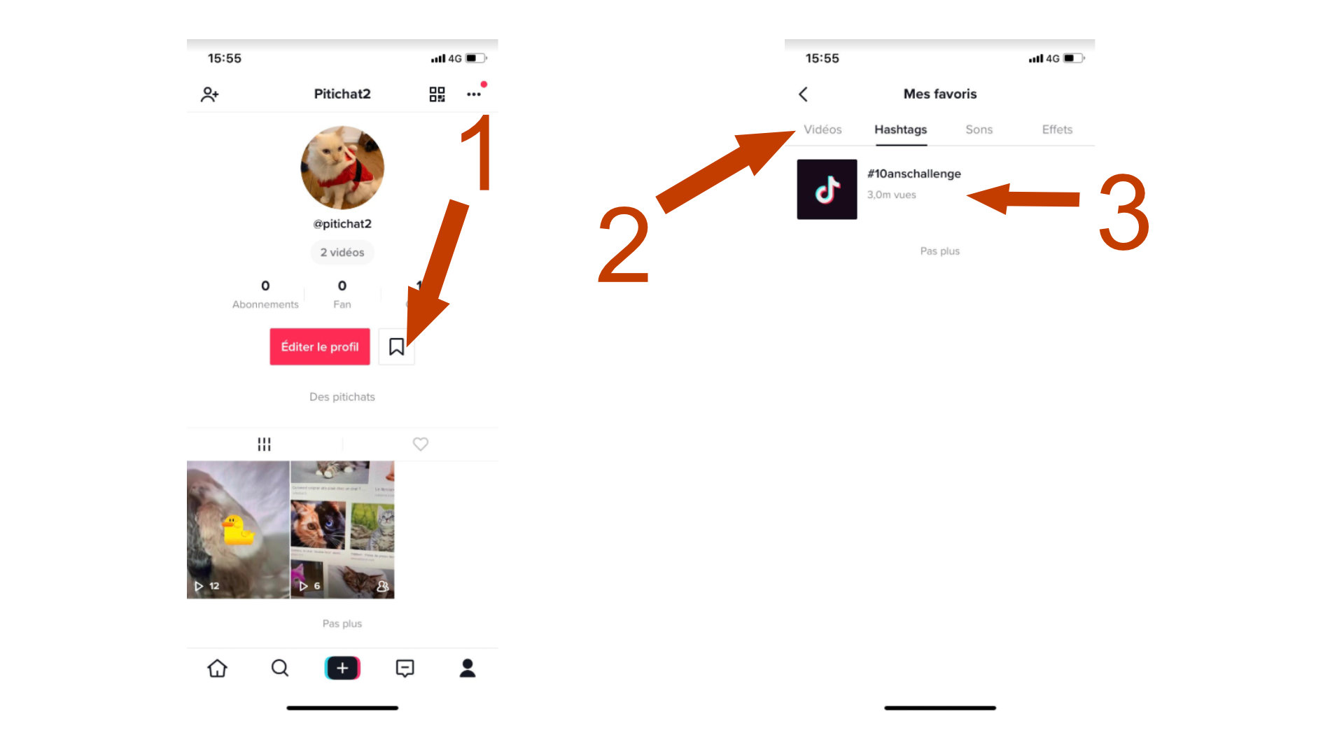 Envoie ce tiktok à quelqu'un qui doit réaliser cet action