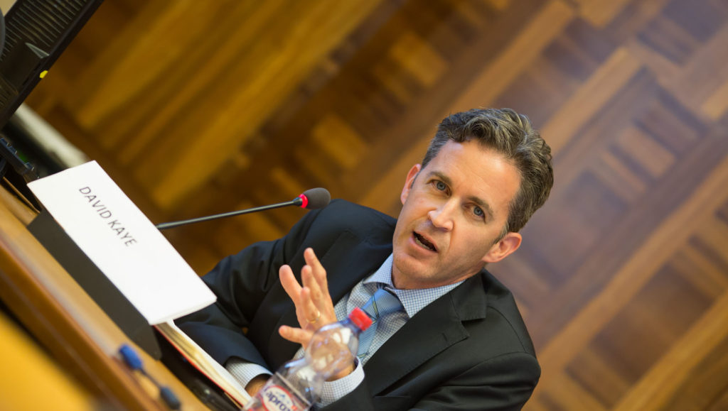 David Kaye