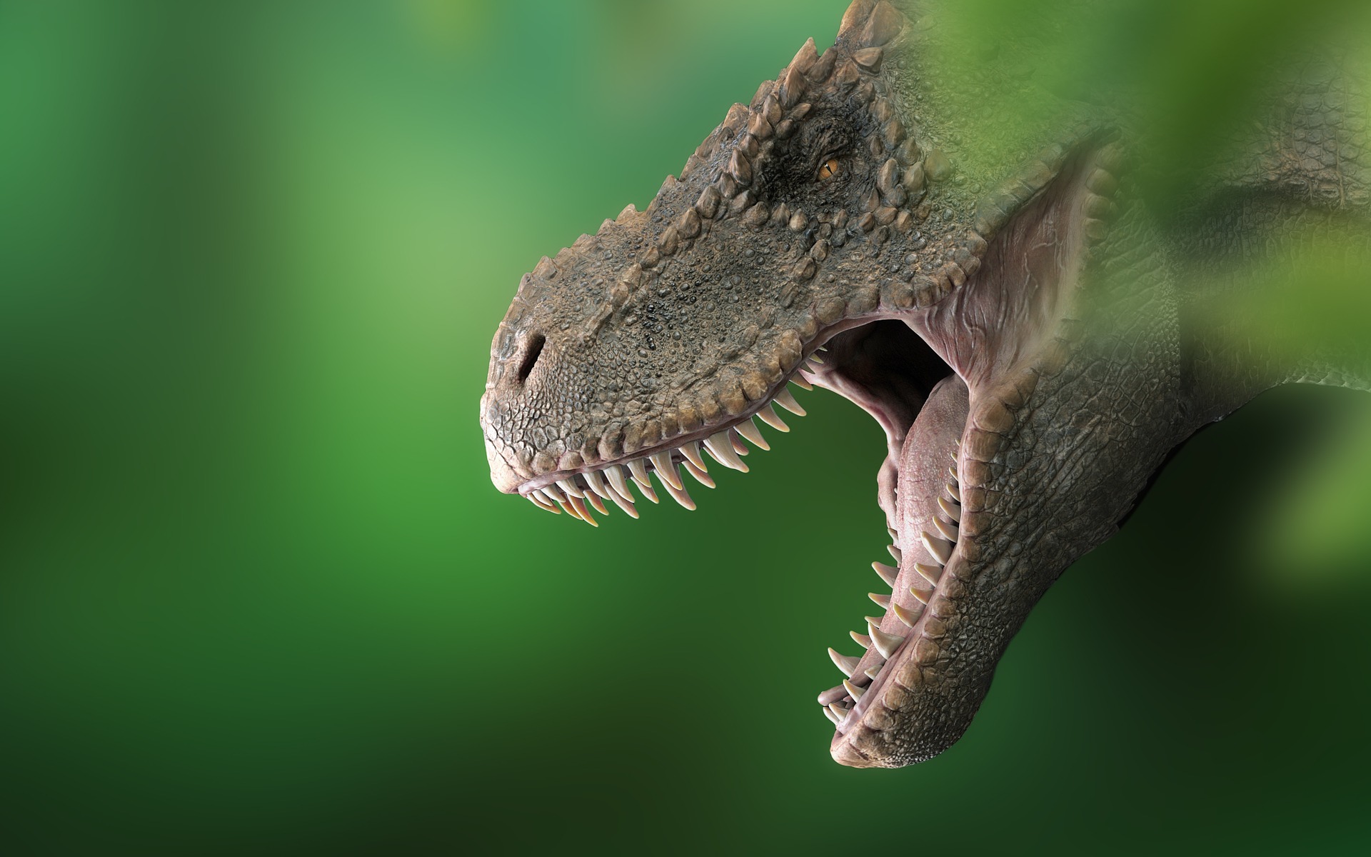 Les Dinosaures Nétaient Peut être Pas En Voie De