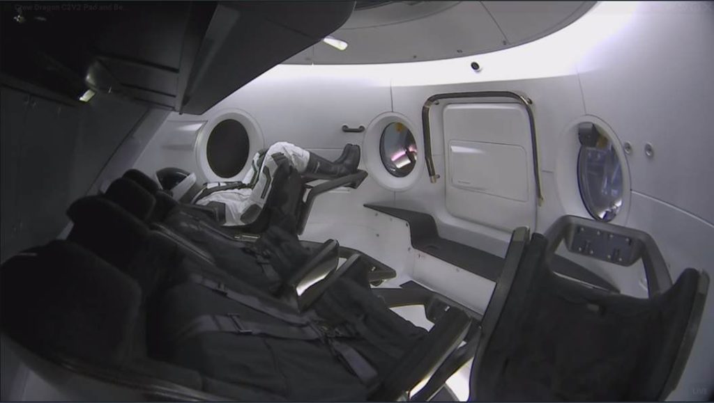 Ripley dummy