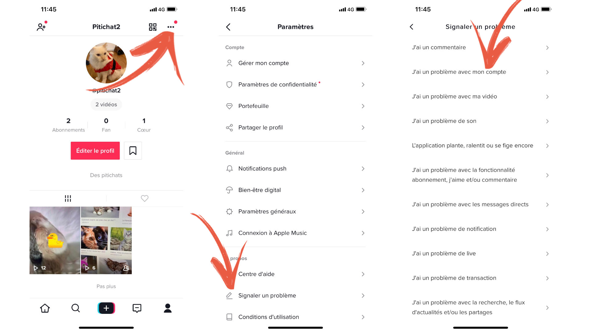 Pourquoi TikTok a subitement supprimé de nombreux comptes d