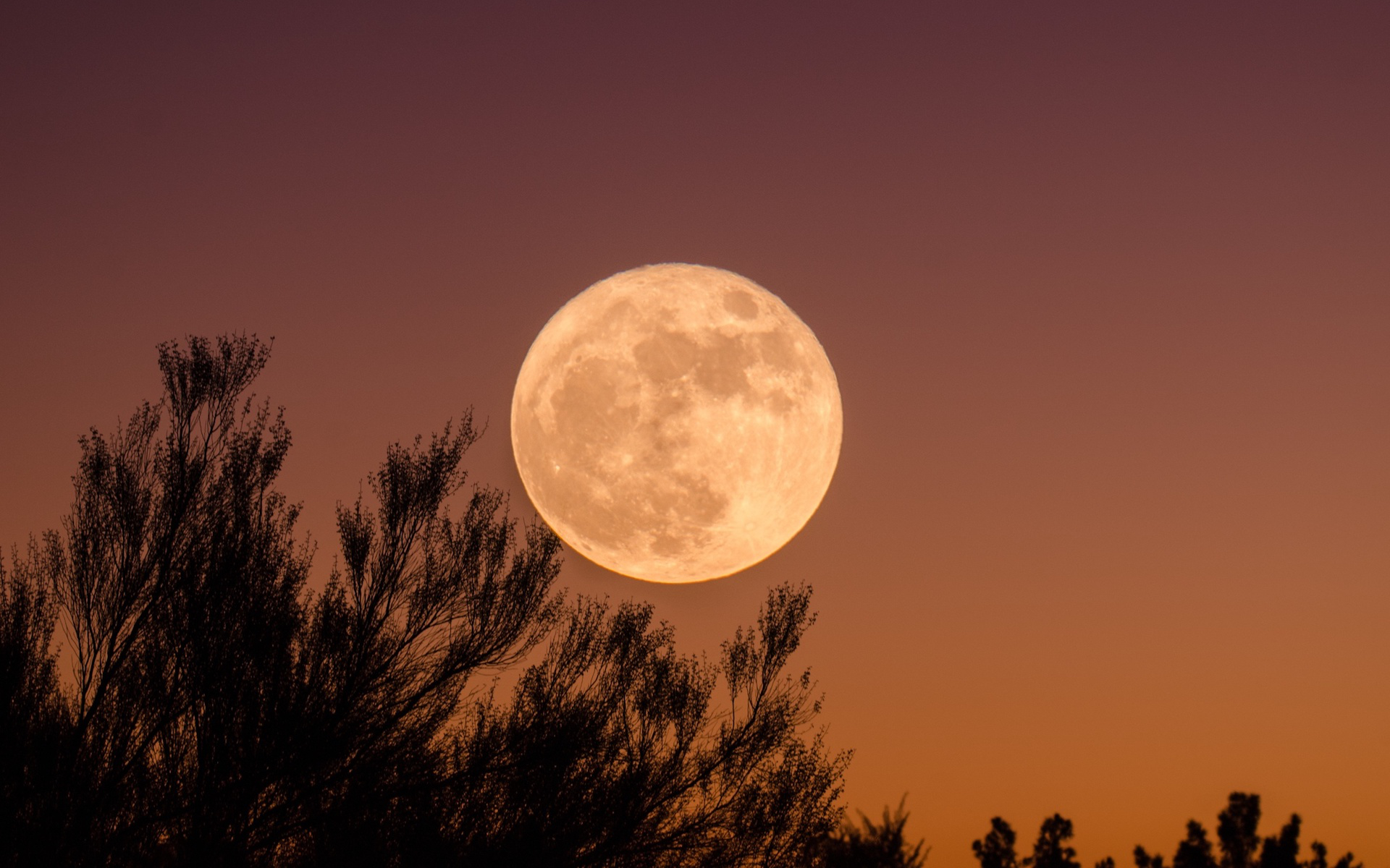 Mieux connaître l'intérieur de la Lune pourrait aider à étudier la ...