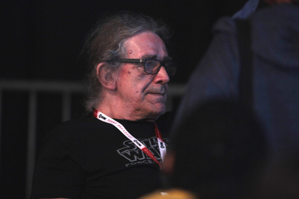 Peter Mayhew chewbacca