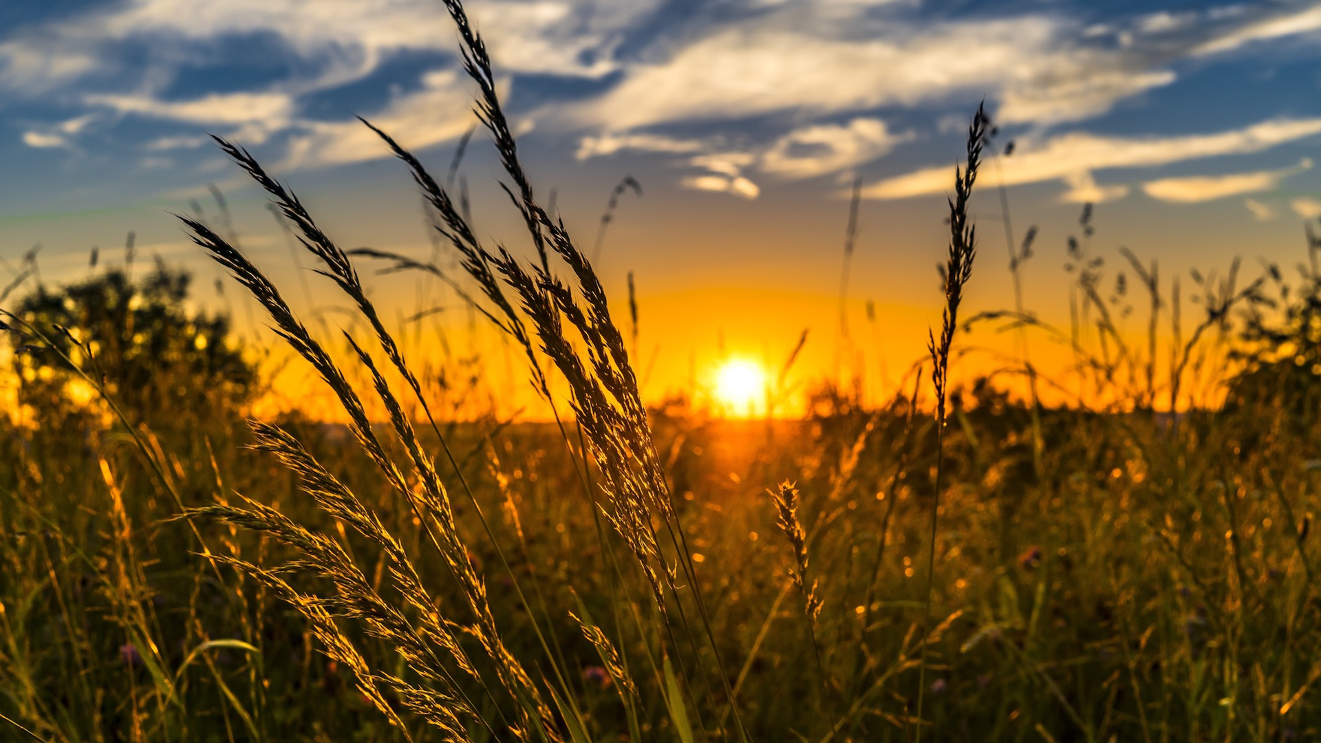 Solstice été 2019 Pourquoi Lété Ne Tombe T Il Pas