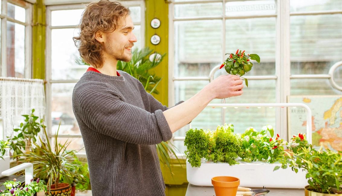 Potager Lilo Connect - Le jardin d'intérieur à arrosage ludique