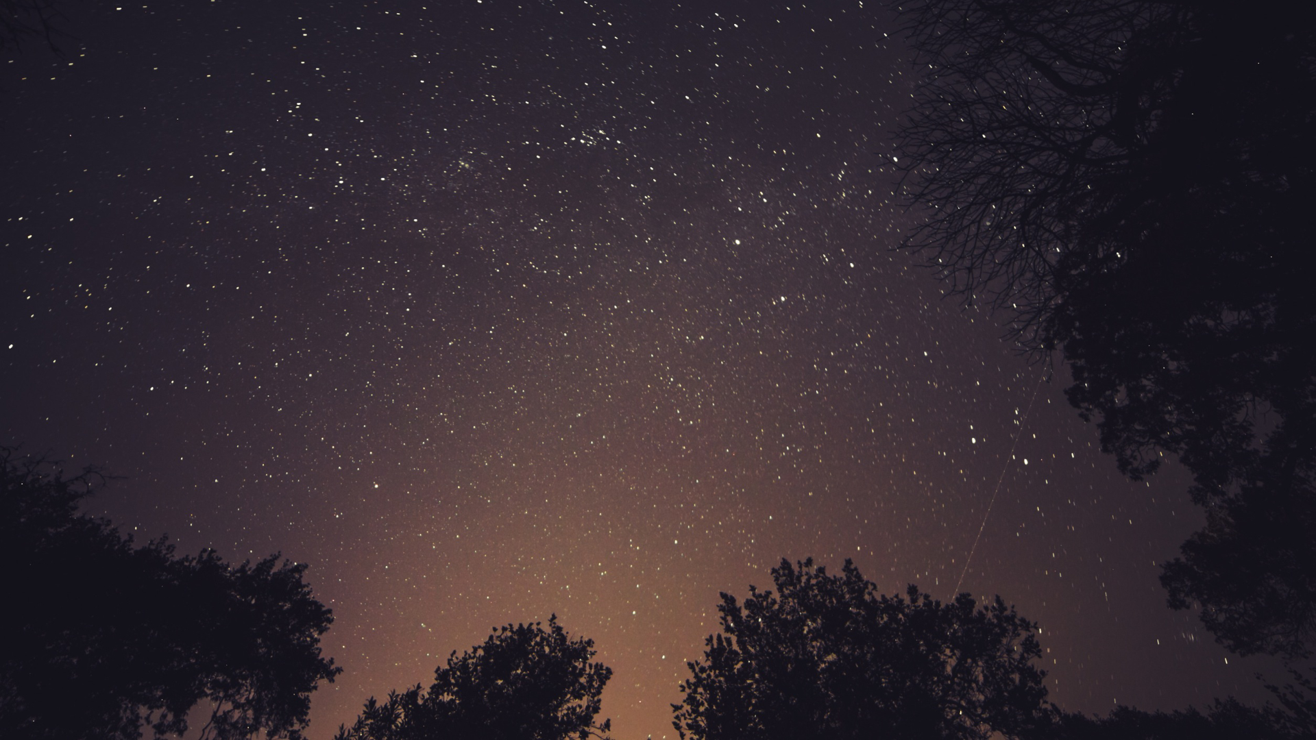 étoiles Filantes Lune Planètes Que Voir Dans Le Ciel En