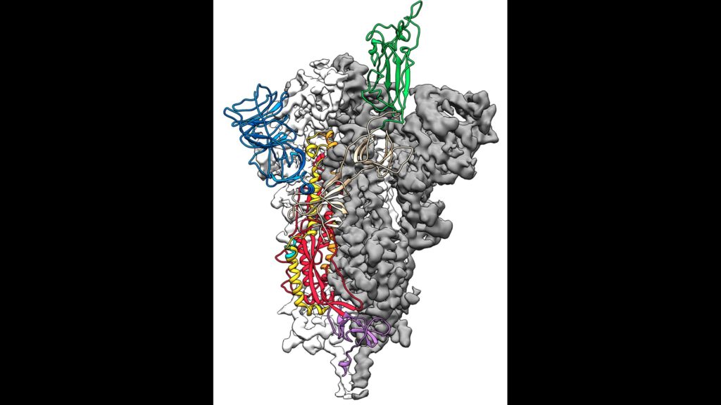 Coronavirus. Approuvé par le maxi-décret Cdm 'Cura-Italia' Coronavirus. Approuvé par le maxi-décret Cdm 'Cura-Italia'