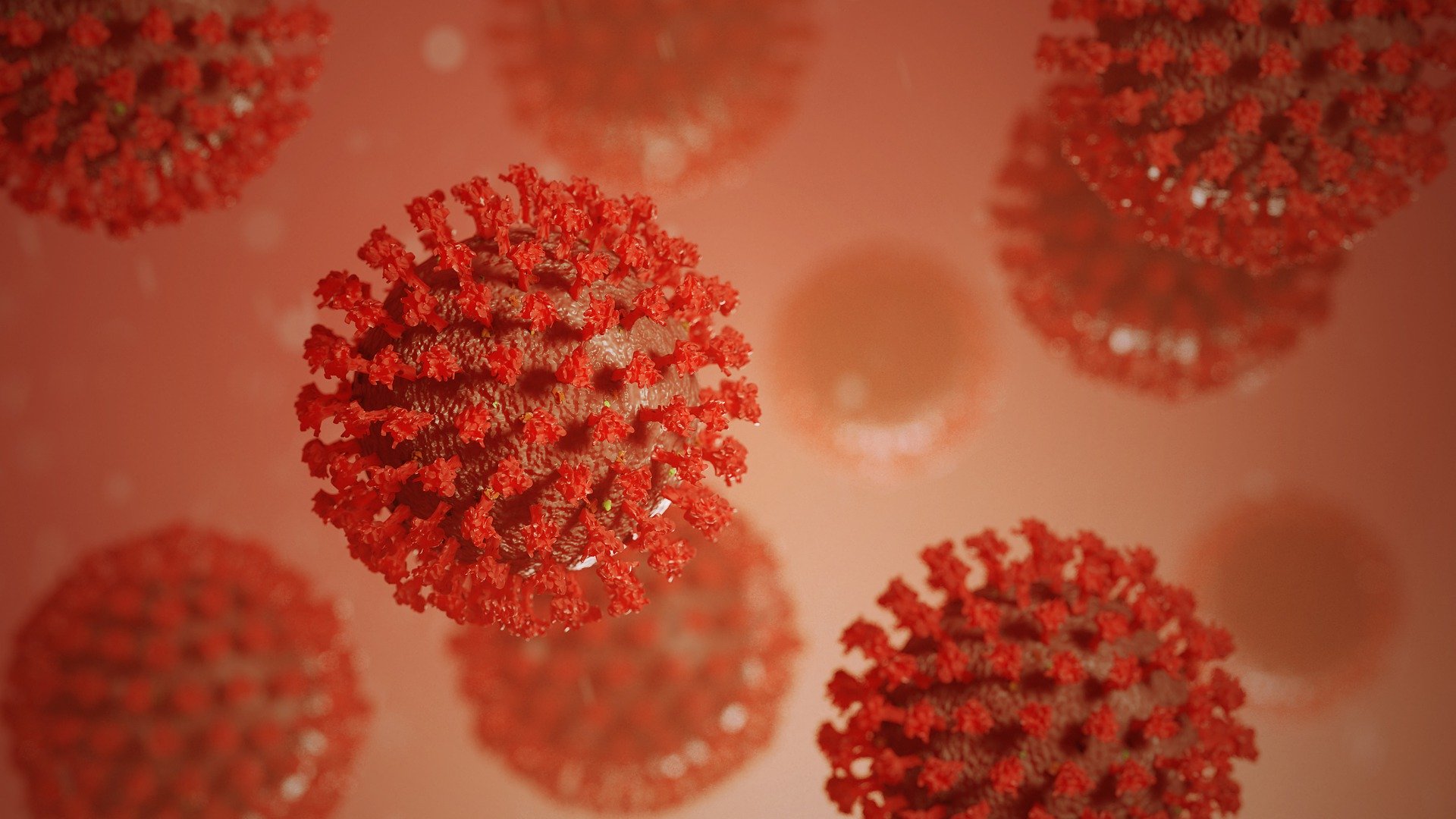 « C’est du jamais vu » : l’achat de noms de domaine liés au coronavirus bat des records