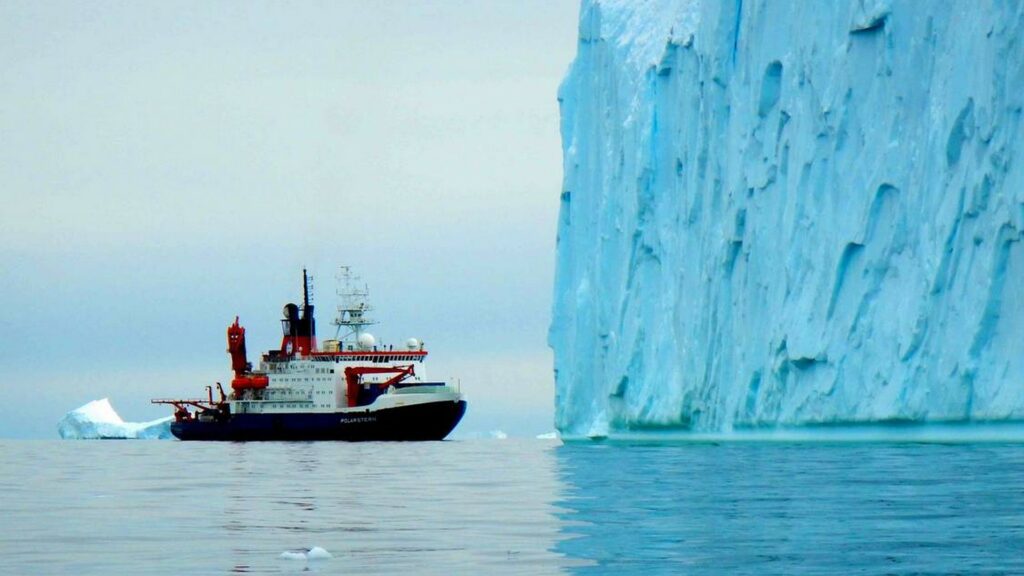 Il y avait autrefois une forêt humide et verdoyante en Antarctique