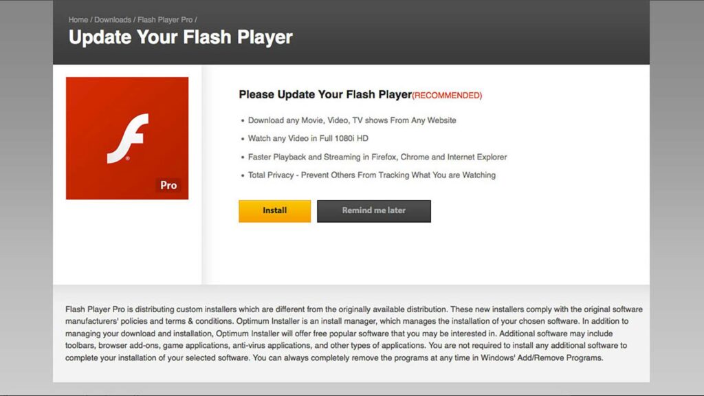 Flash Player