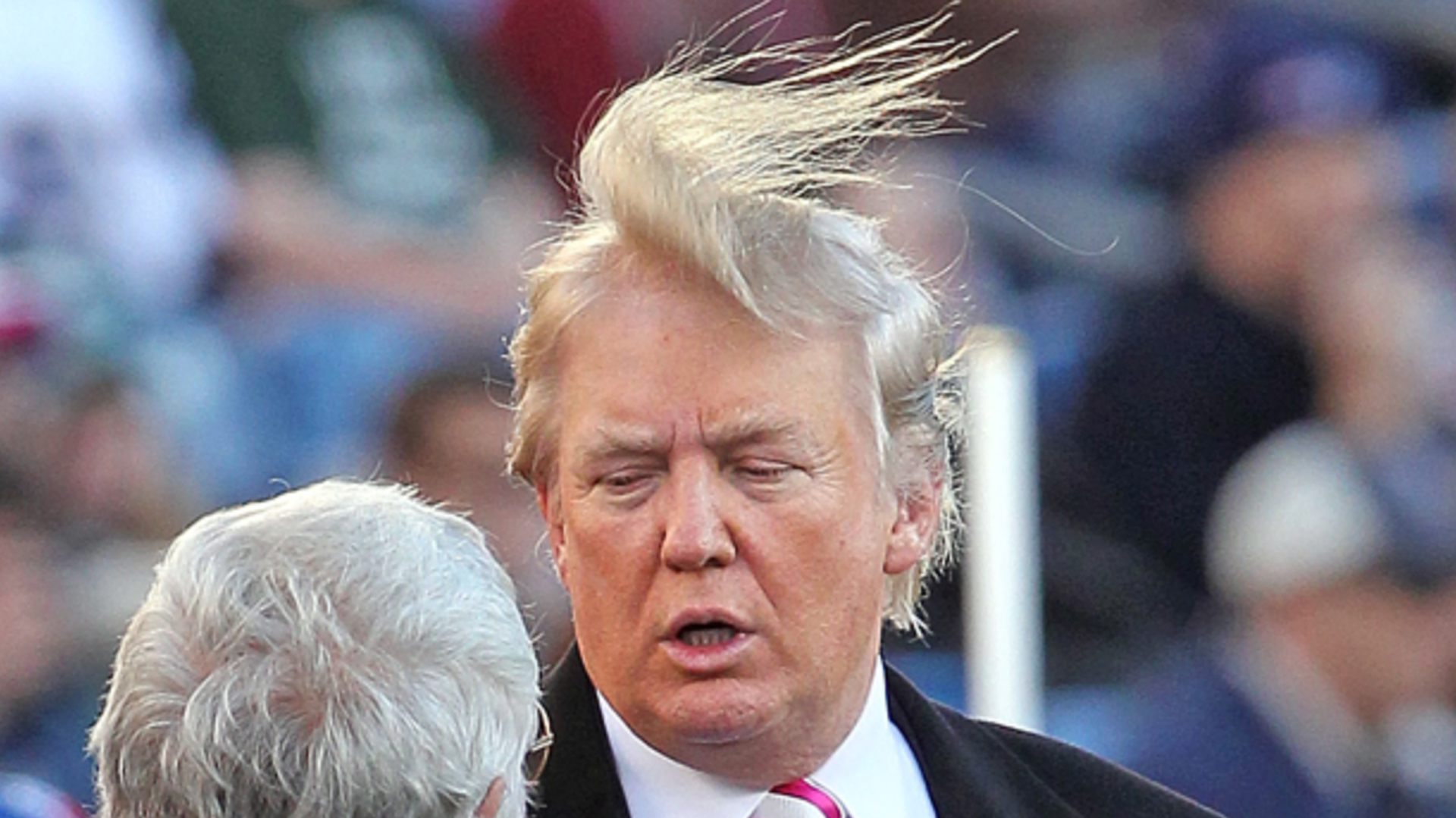 Perruque shop donald trump